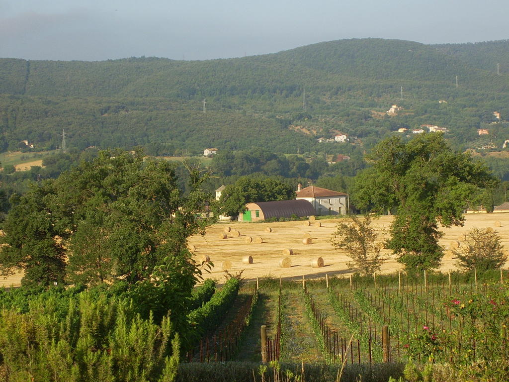 Agriturismo Regno Verde Narni Exteriér fotografie