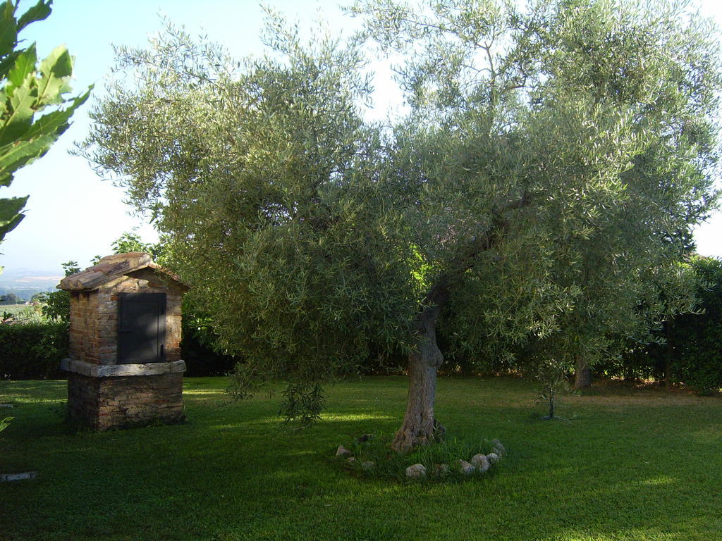 Agriturismo Regno Verde Narni Exteriér fotografie